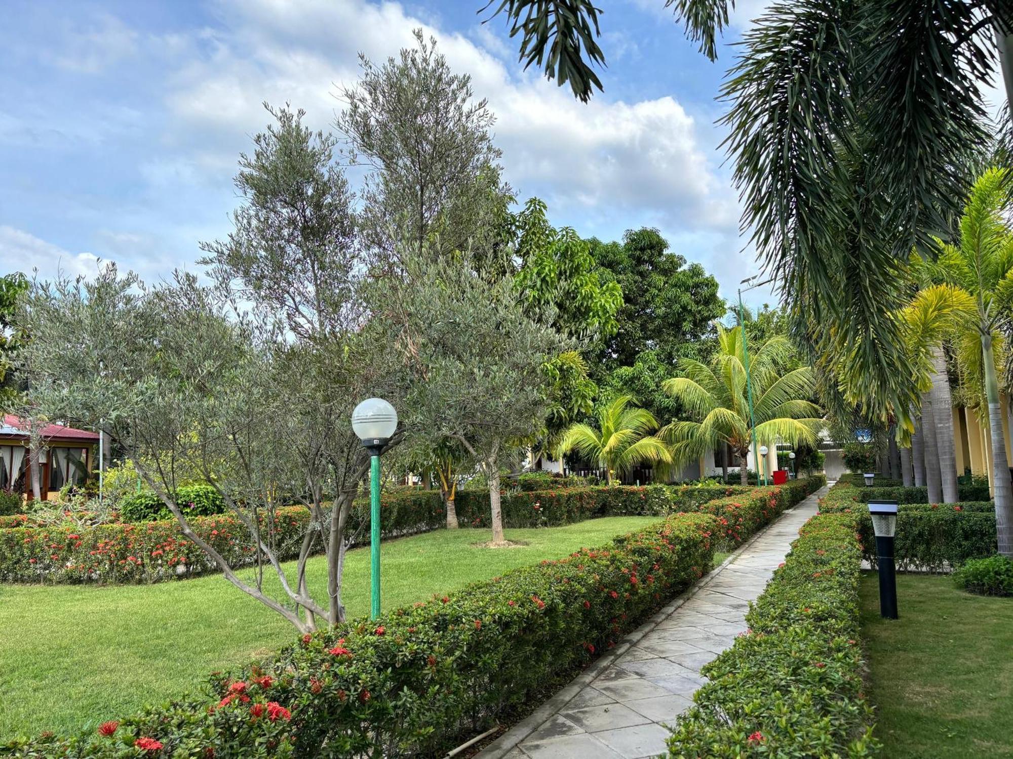 Palm Malinamoc Hotel Dili Dış mekan fotoğraf